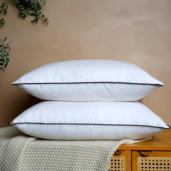 Natural Goose Down Pillows - White Down Pillow Standard Size - 550 Fill Power - Soft and Support Down Bed Pillow for Back,Side,Stomach Sleepers,2 Pack (20" x 26")