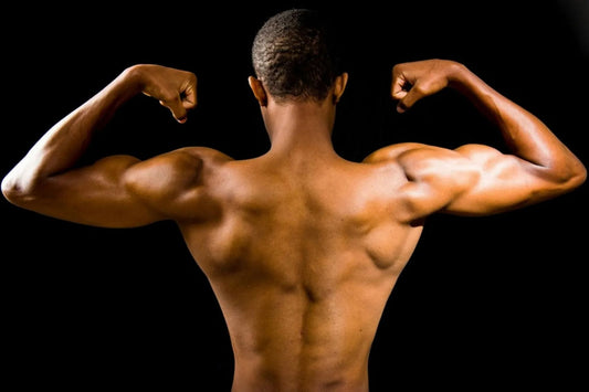 Best Supplements to Support Muscle Recovery and Strength