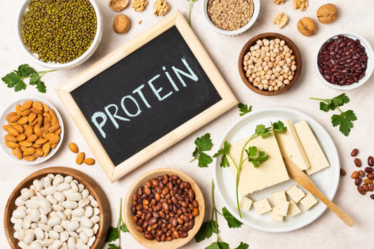Protein Powders Explained: Whey, Plant-Based, and Collagen