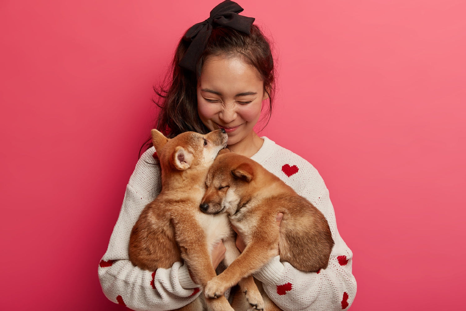 for Pet