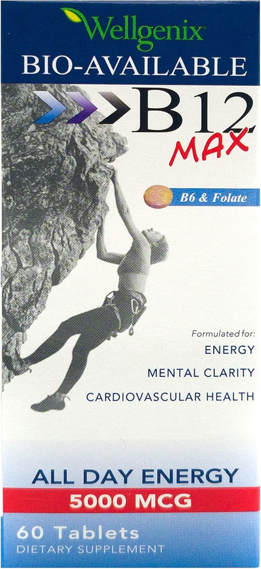 Wellgenix Bio-Available Sublingual B12 B6 Folate Vitamin Formulated for High Absorption - Nutritional Multivitamin Supplement (60 ct) 1 Pack