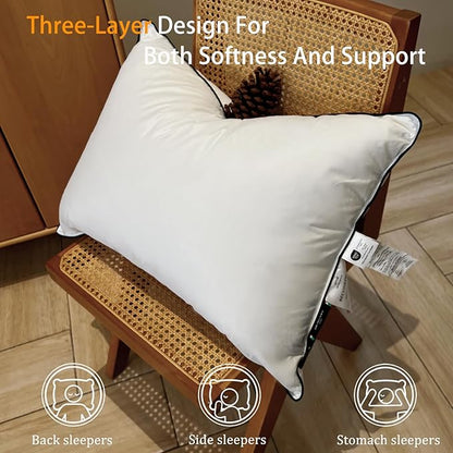 Natural Goose Down Pillows - White Down Pillow Queen Size - 550 Fill Power - Soft and Support Down Bed Pillow for Back,Side,Stomach Sleepers，1 Pack (20" x 28")