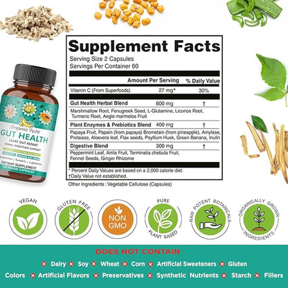 Organic Veda Gut Health Supplement - Leaky Gut Repair Capsules with Papaya Digestive Enzymes, Prebiotics, L-Glutamine, Turmeric - Support Bowel Movement & Cleanse Colon - 120 Count