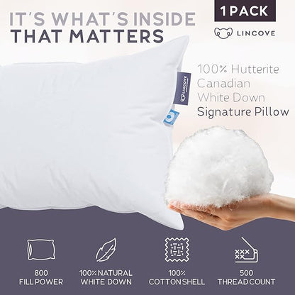 Lincove Signature 100% Natural Canadian White Down Luxury Sleeping Pillow - 800 Fill Power, 500 Thread Count Cotton Shell, Made in Canada, Queen - Medium, 1 Pack