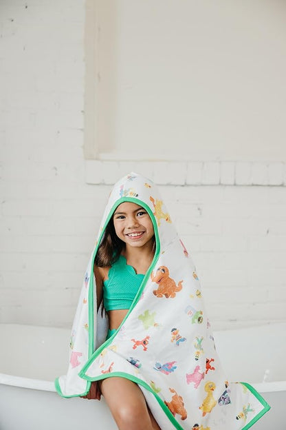 Copper Pearl Hooded Bath Towels Premium Knit/Terry Cloth Toddler Towels with Hood, Pockets, and Cool Designs - Great to Gift and Make Bath Time Fun - Big Kids Hooded Towel, Sesame Friends