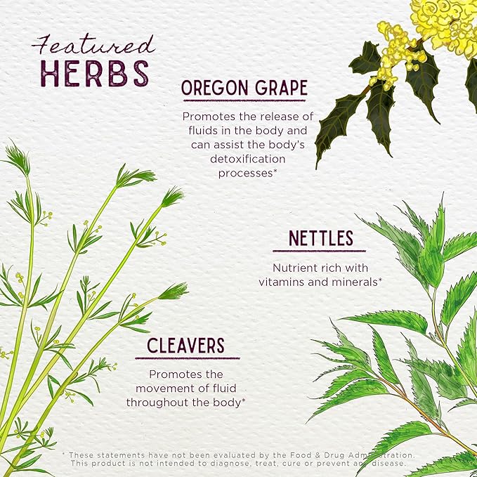 WishGarden Herbs Deep Cleanse - Plant-Based Herbal Cleansing Supplement with Organic Milk Thistle Seed & Burdock Root Promotes Organ Cleansing, Supports Liver, Kidney, Lymph & Cellular Health, 4oz