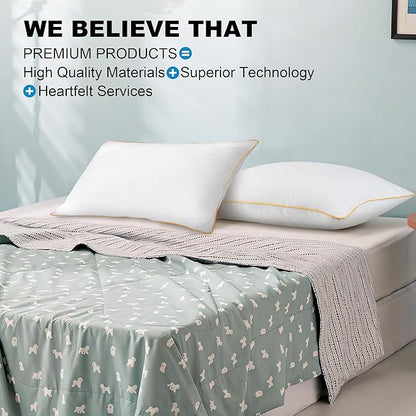Bed Pillows for Sleeping Queen Size Set of 2, Cooling Pillow 2 Pack for Side Back and Stomach Sleepers Down Alternative
